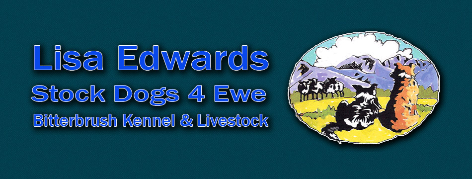 Lisa Edwards Stockdogs