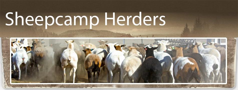 SheepcampHerders